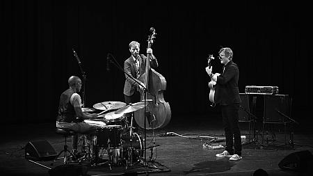 Rudy Linka Trio, koncert